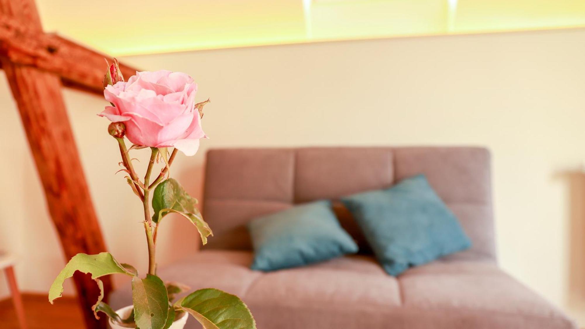 Biobauer Heubach Apartman Iphofen Kültér fotó
